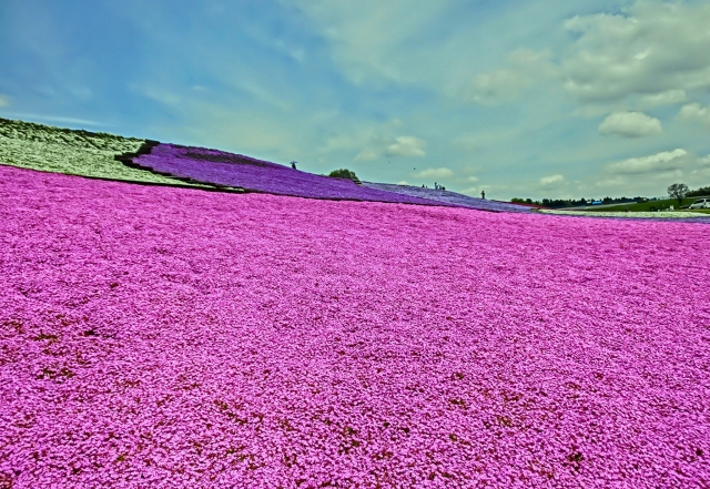 東京ドイツ村周辺のレストラン情報 家族や子連れにおススメ５選 Happy Life Blog